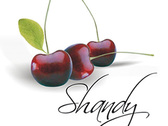 Logo Shandy Banquetes