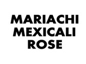 Mariachi Mexicali Rose