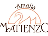 Casa Amalia Matienzo