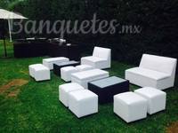 Salas lounge en color blanco con centro de mesa en color chocolate