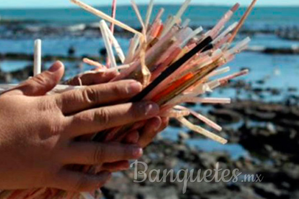 En el año 2050 habrá más popotes en el mar que peces