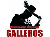 Mariachi Juvenil Galleros