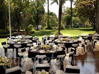 Eventos y Banquetes Succulent