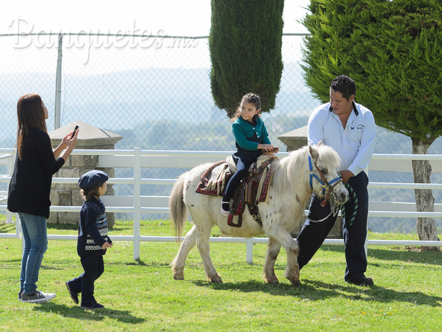 Pony para niños.