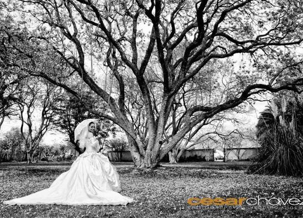 Novia en Jardín de Jacarandas