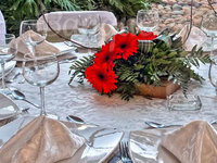 Il Giardino Di Luca