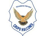 Grupo Halcones