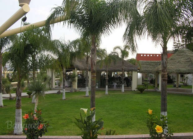 Jardín