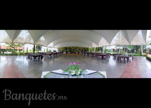 Eventos Elite