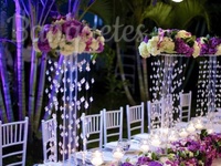 Jelly Eventos