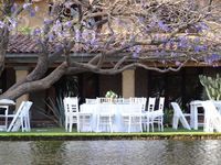 Boda en jardín