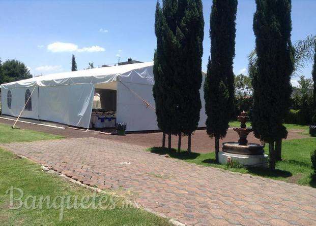 Carpa elegante (10x20m.)