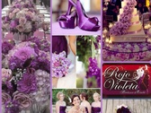 Rojo Violeta Producción De Eventos