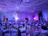 Eventos Masivos  - Graduaciones-