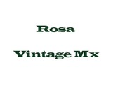 Rosa Vintage Mx