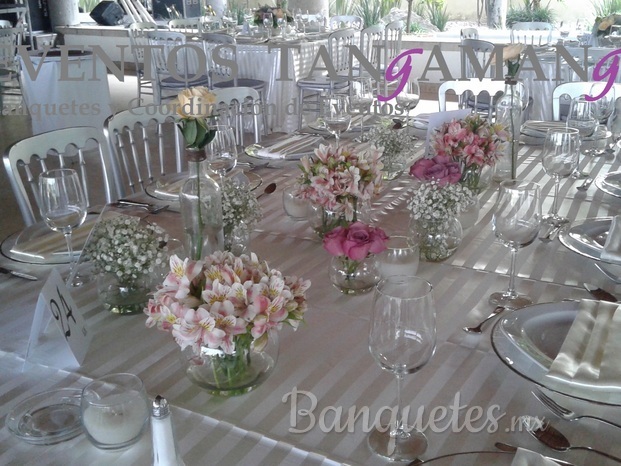 Eventos Tangamanga