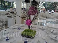 SANTA FE EVENTOS