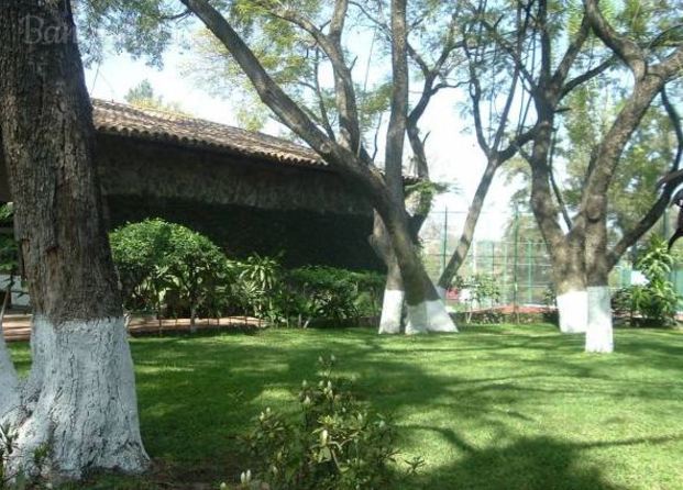 Jardín