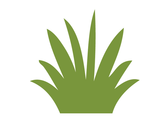 Logo Jardín Los Agaves