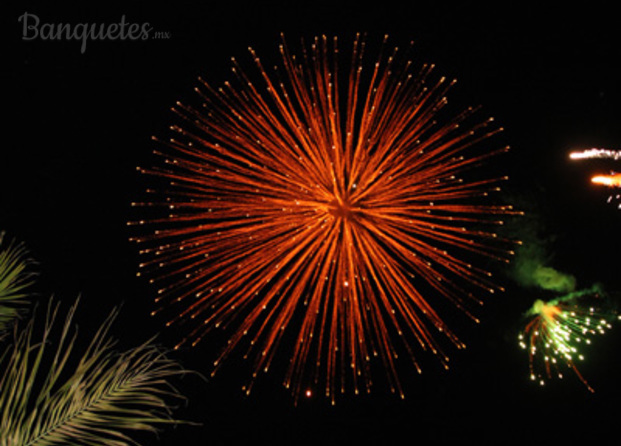 Fuegos Artificiales